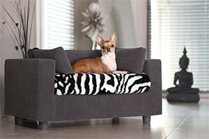 Canapé pour chien déhoussable luxe - coloris gris
