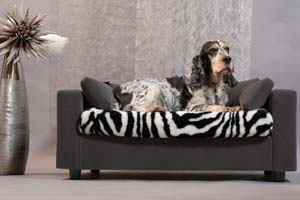 luxe chien relax