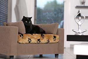 Couchage pour chat design confort