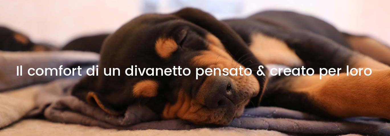 Descrizione del divano Cat & Dog Armonia - GiusyPop